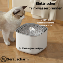Lade das Bild in den Galerie-Viewer, Elektrischer Trinkwasserbrunnen für Katzen – Frisches Wasser rund um die Uhr