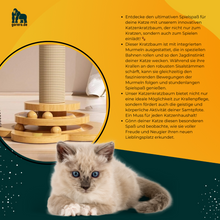 Lade das Bild in den Galerie-Viewer, Katzen Kratzturm aus robustem Holz - Stilvoller Kratzspass für Deine Katze