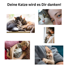 Lade das Bild in den Galerie-Viewer, Elektrischer Trinkwasserbrunnen für Katzen – Frisches Wasser rund um die Uhr
