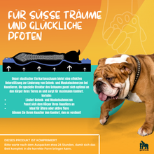Lade das Bild in den Galerie-Viewer, Orthopädisches Hundebett mit Memoryschaum – für mehr Komfort und Wohlbefinden
